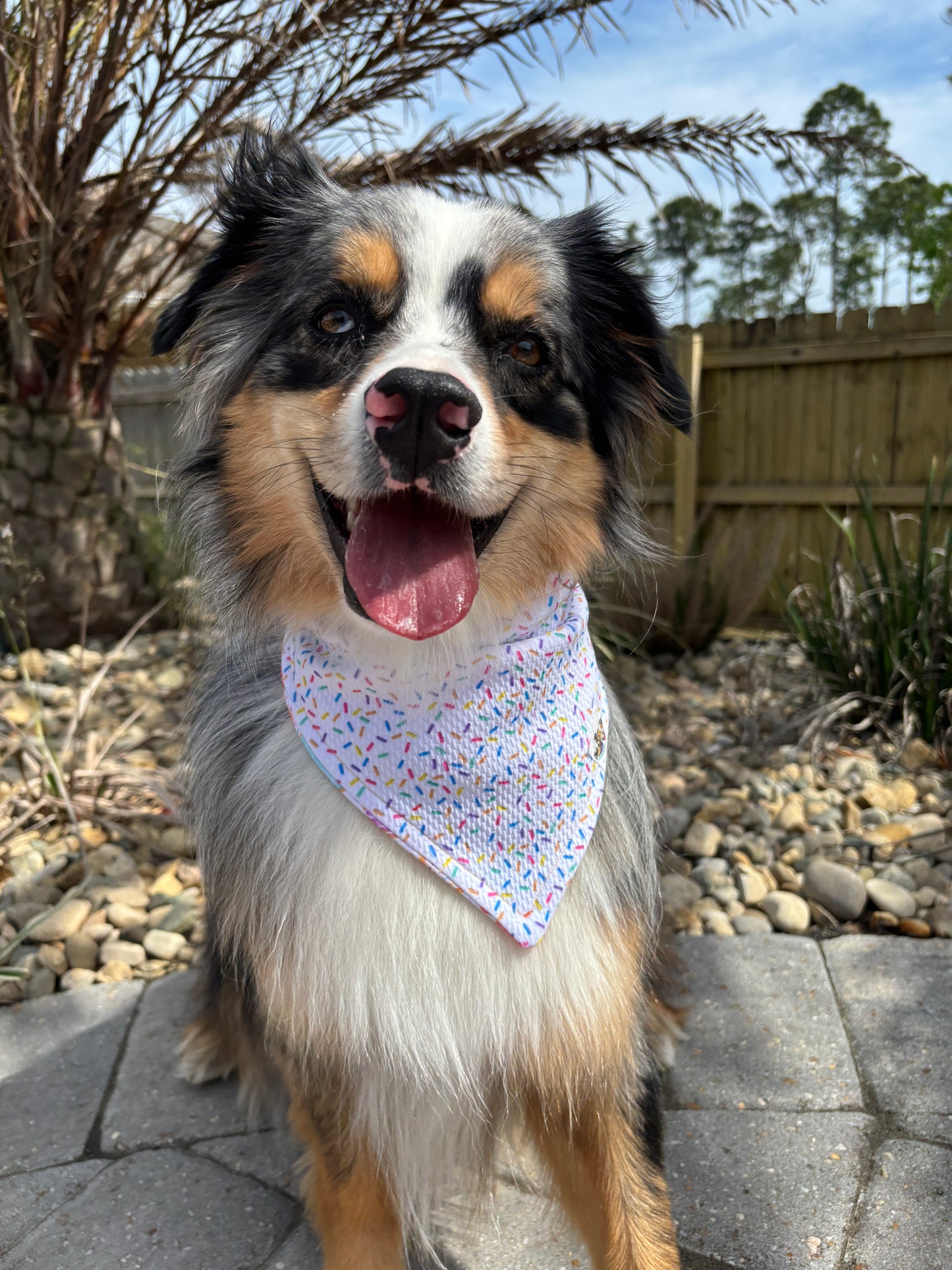 Donut Day Bandana
