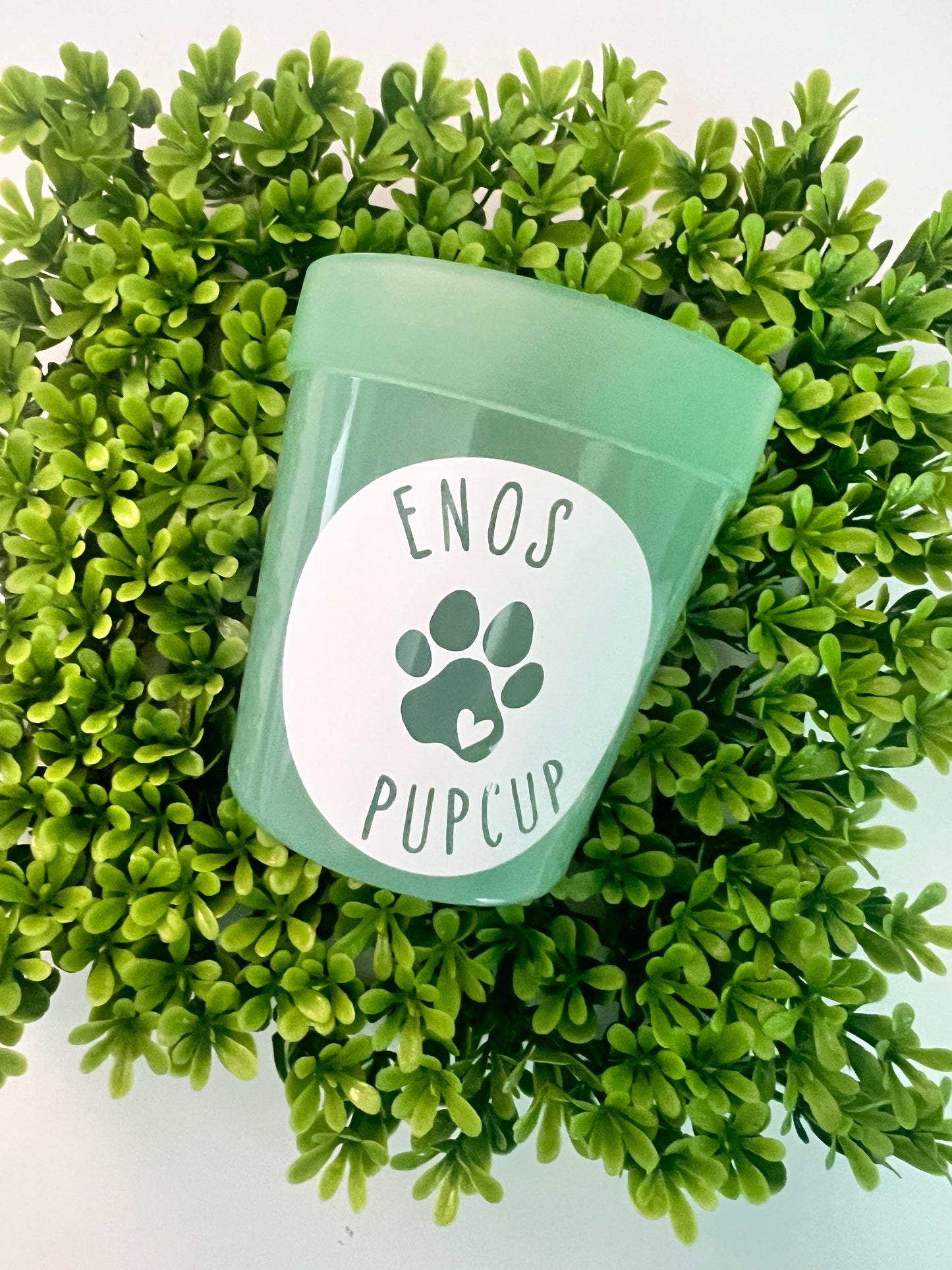 Pup Cups