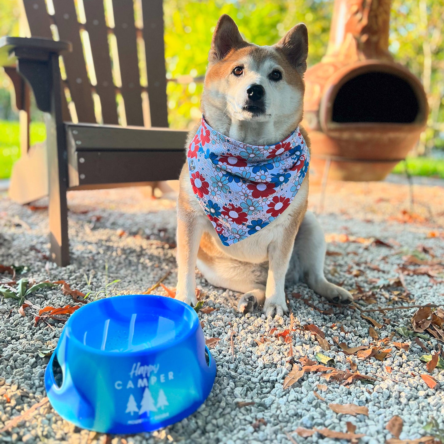 Patriotic Petals