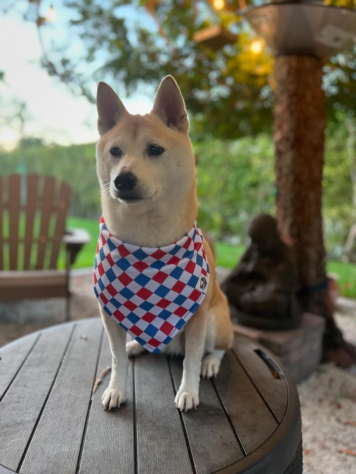 Patriotic Petals