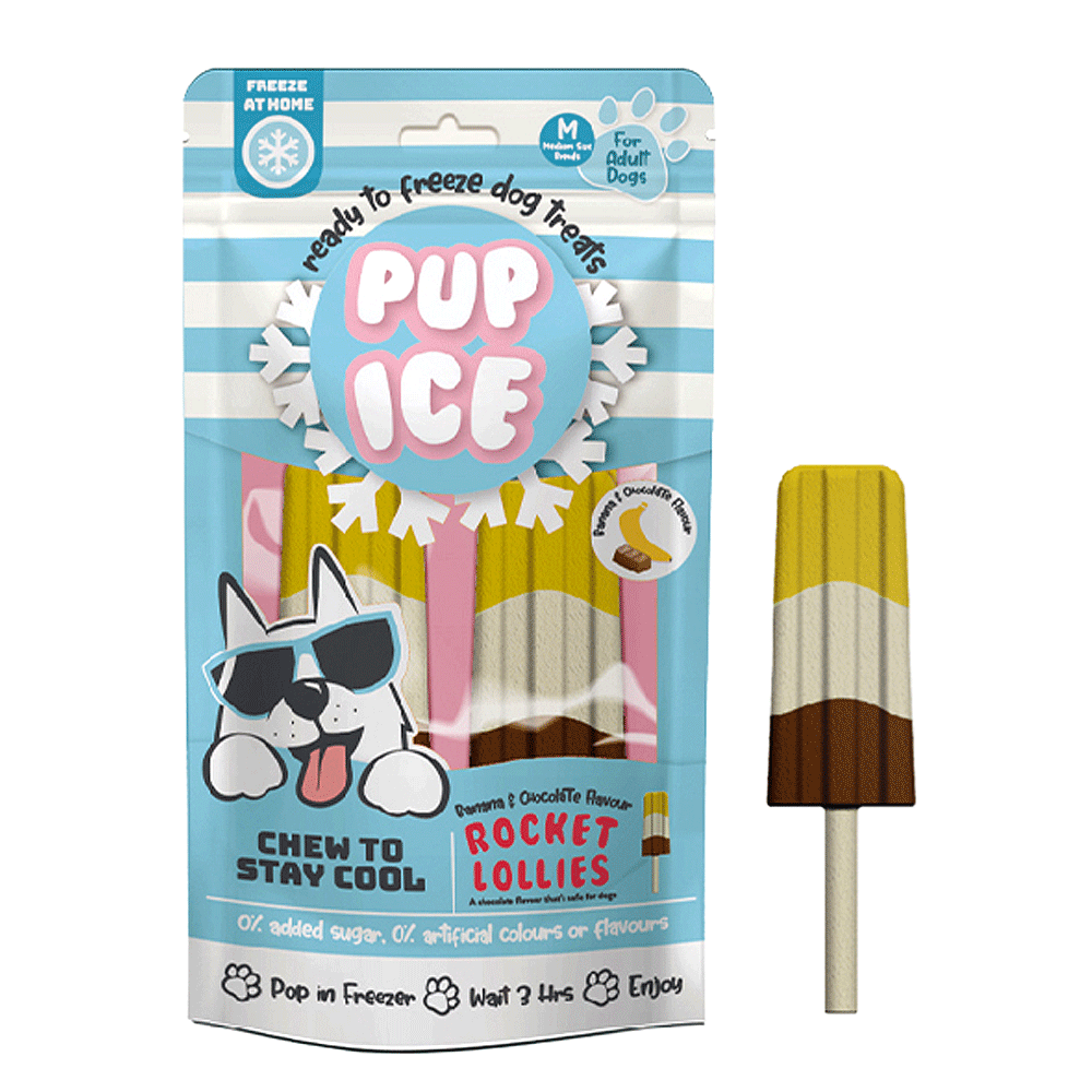 Pup Ice Rocket Lollies Banana and Chocolate