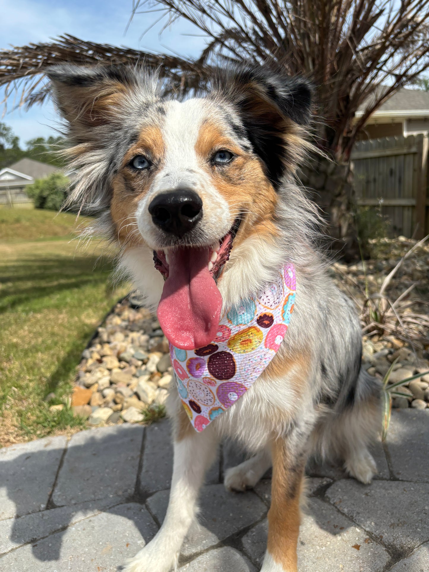 Donut Day Bandana