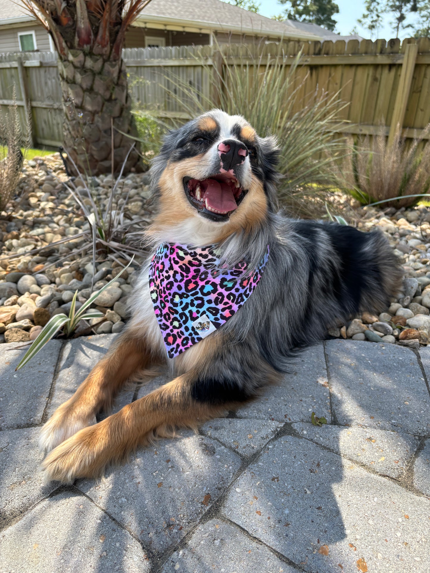 Young & Wild Bandana