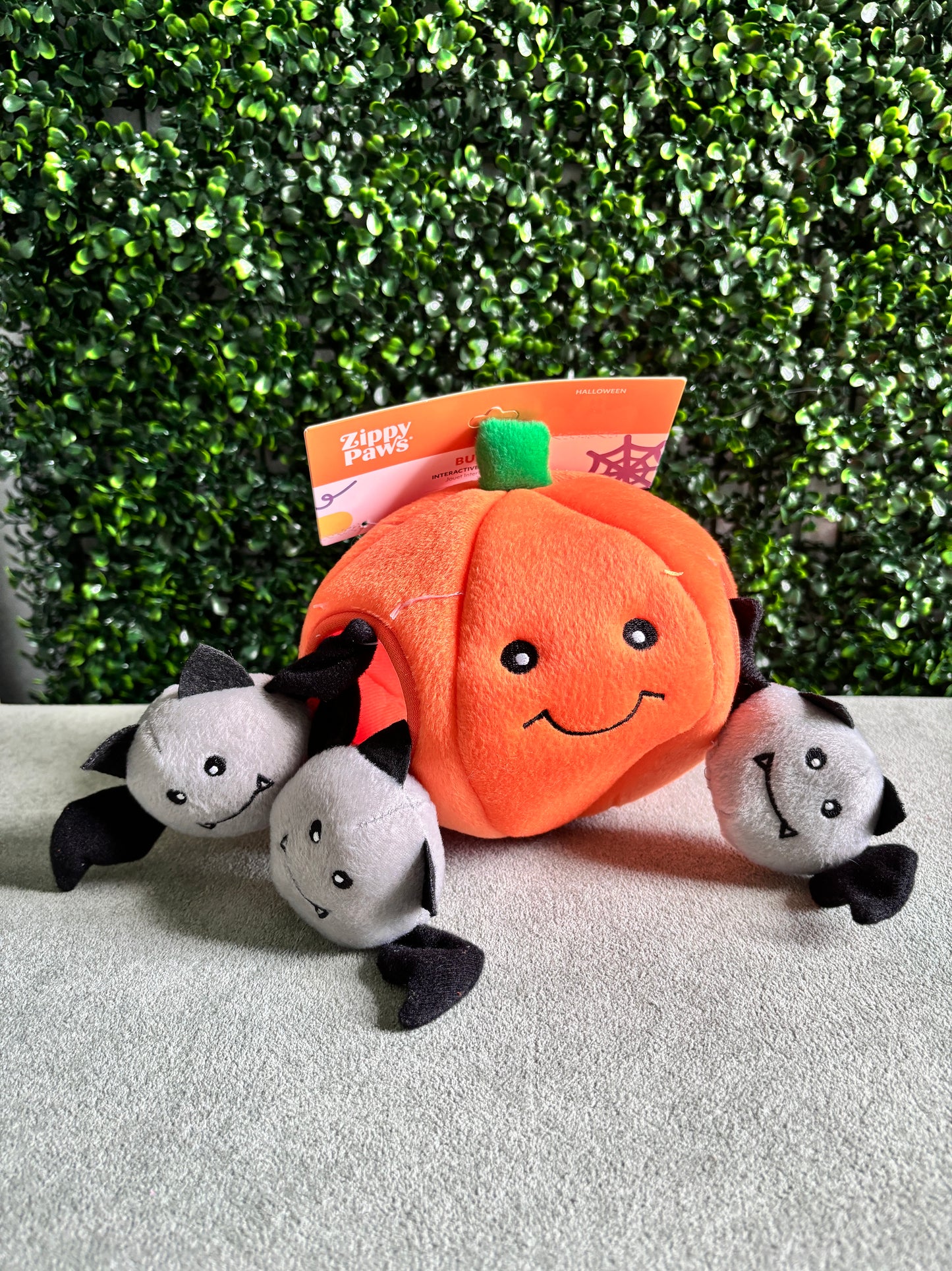 Halloween Burrow - Pumpkin with Bats Toy