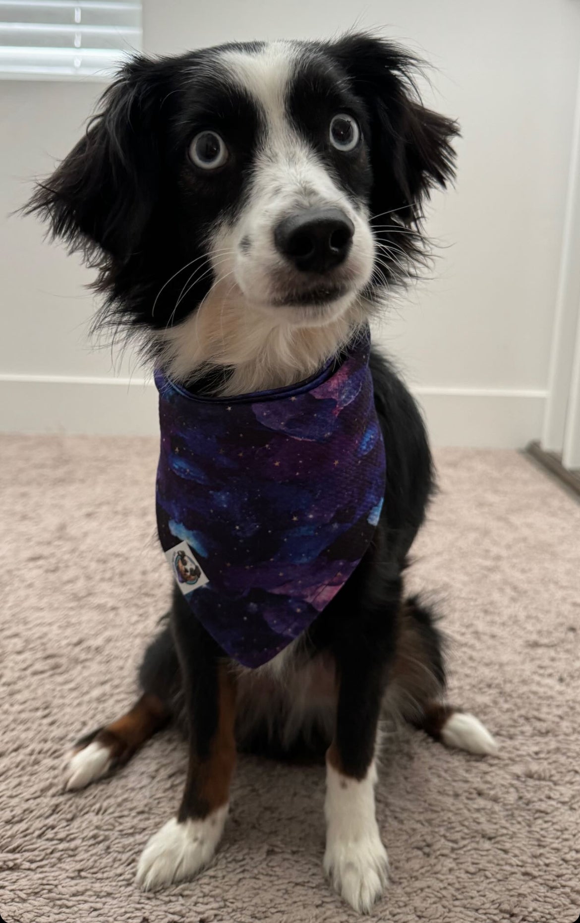 Kai
