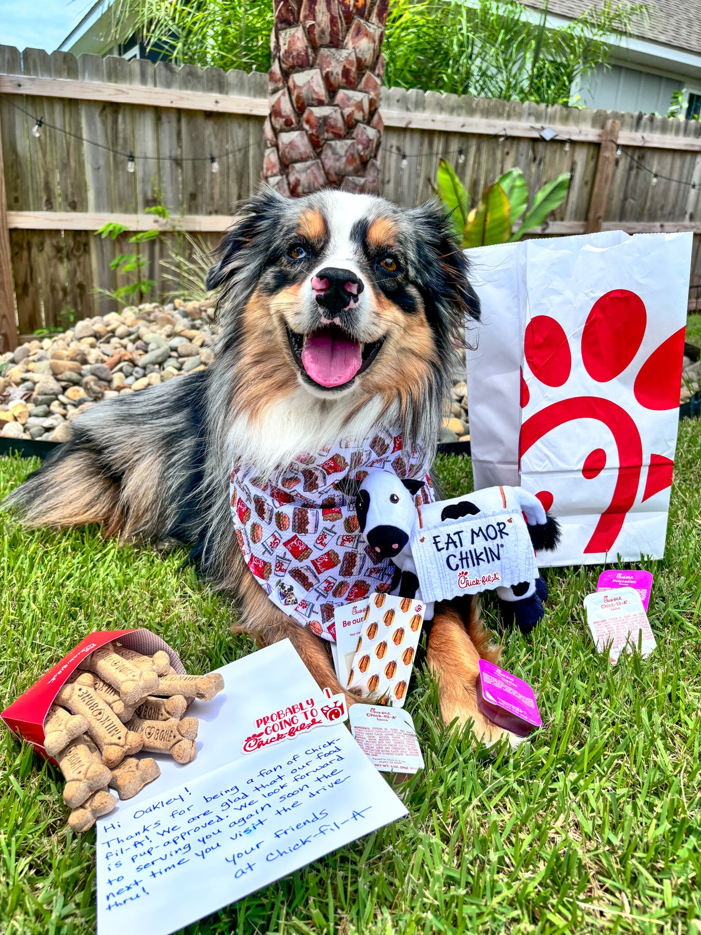 White Chick fil A Bandana