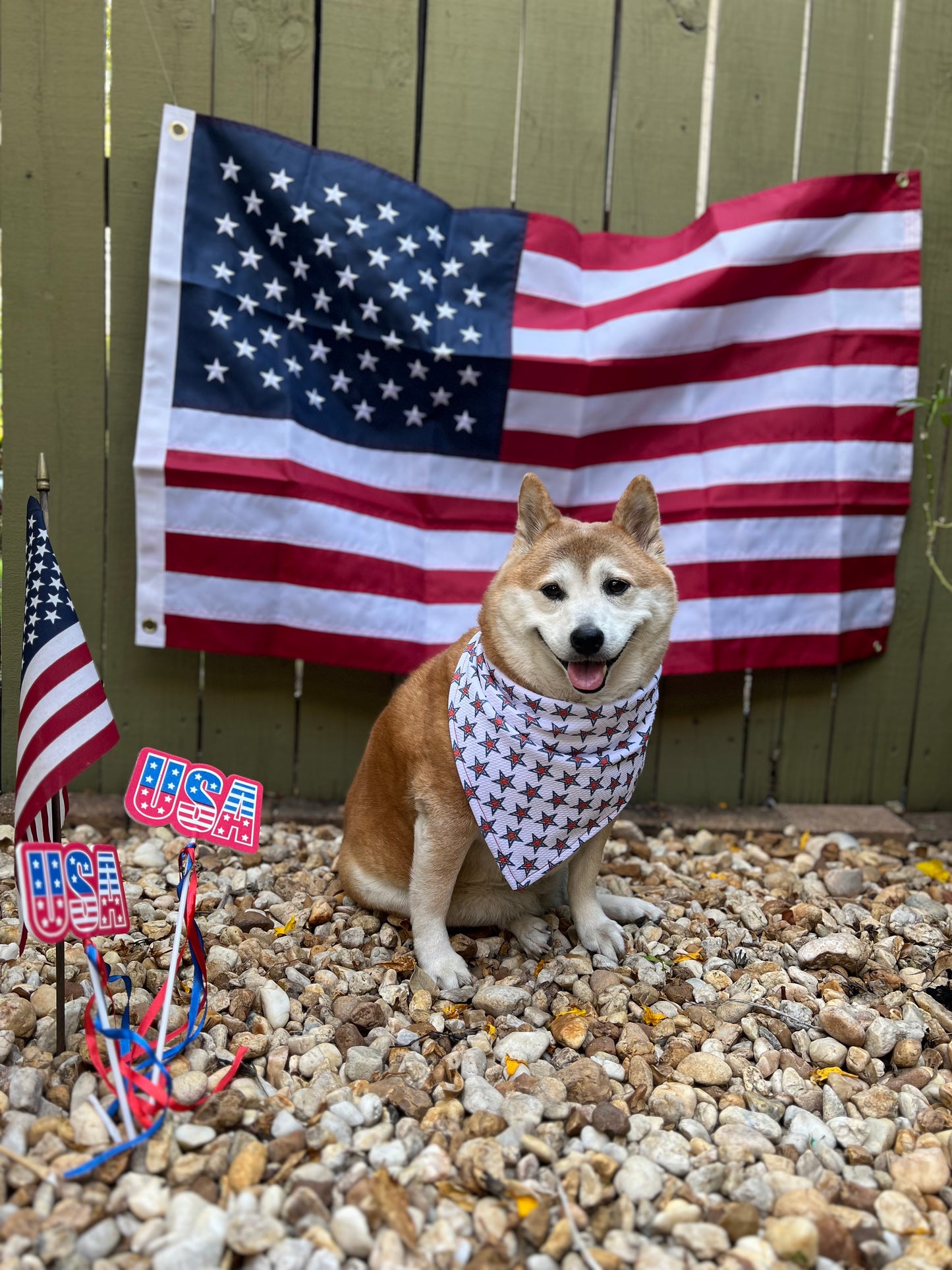 Pawty in the USA