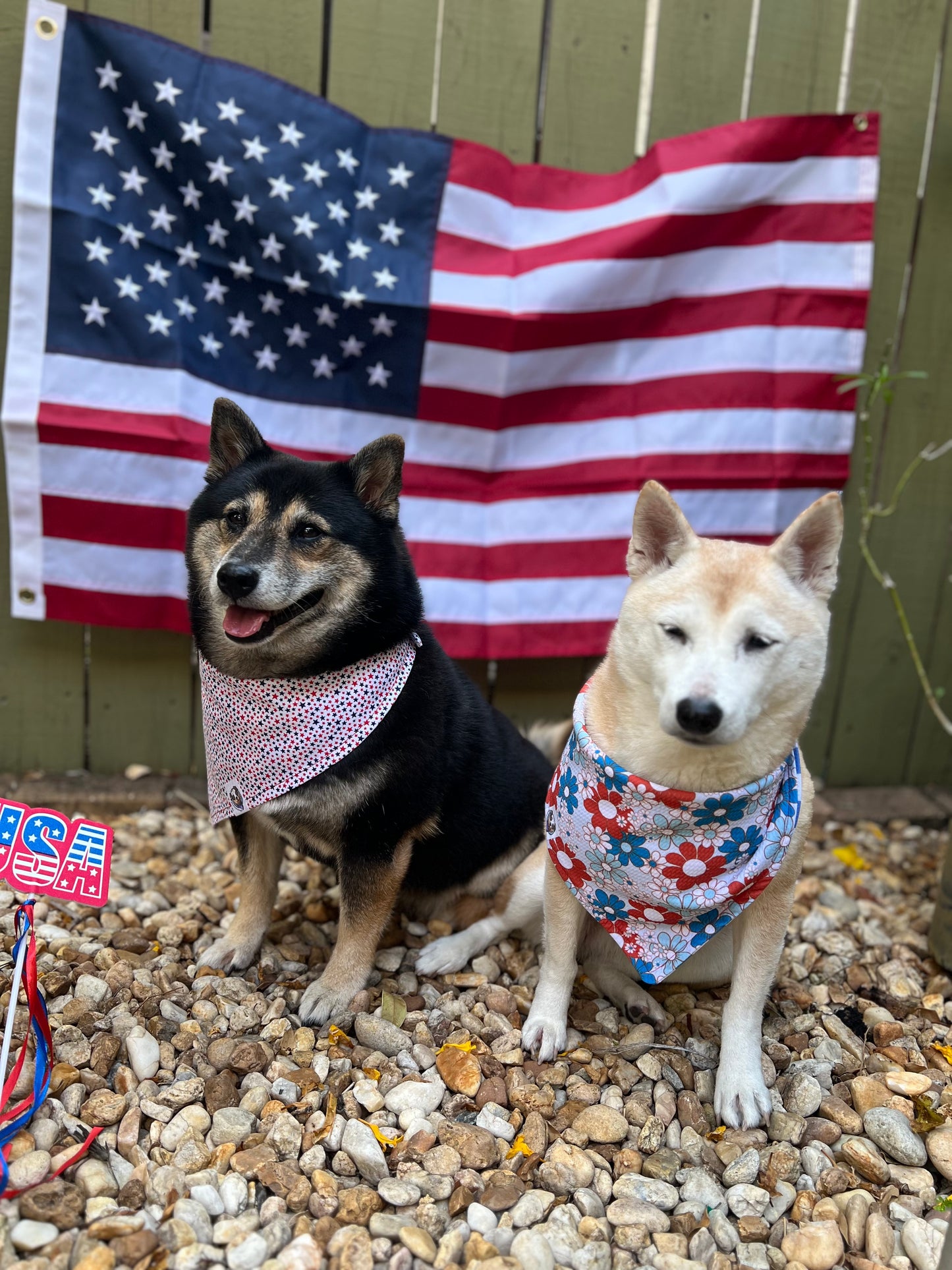 Patriotic Petals