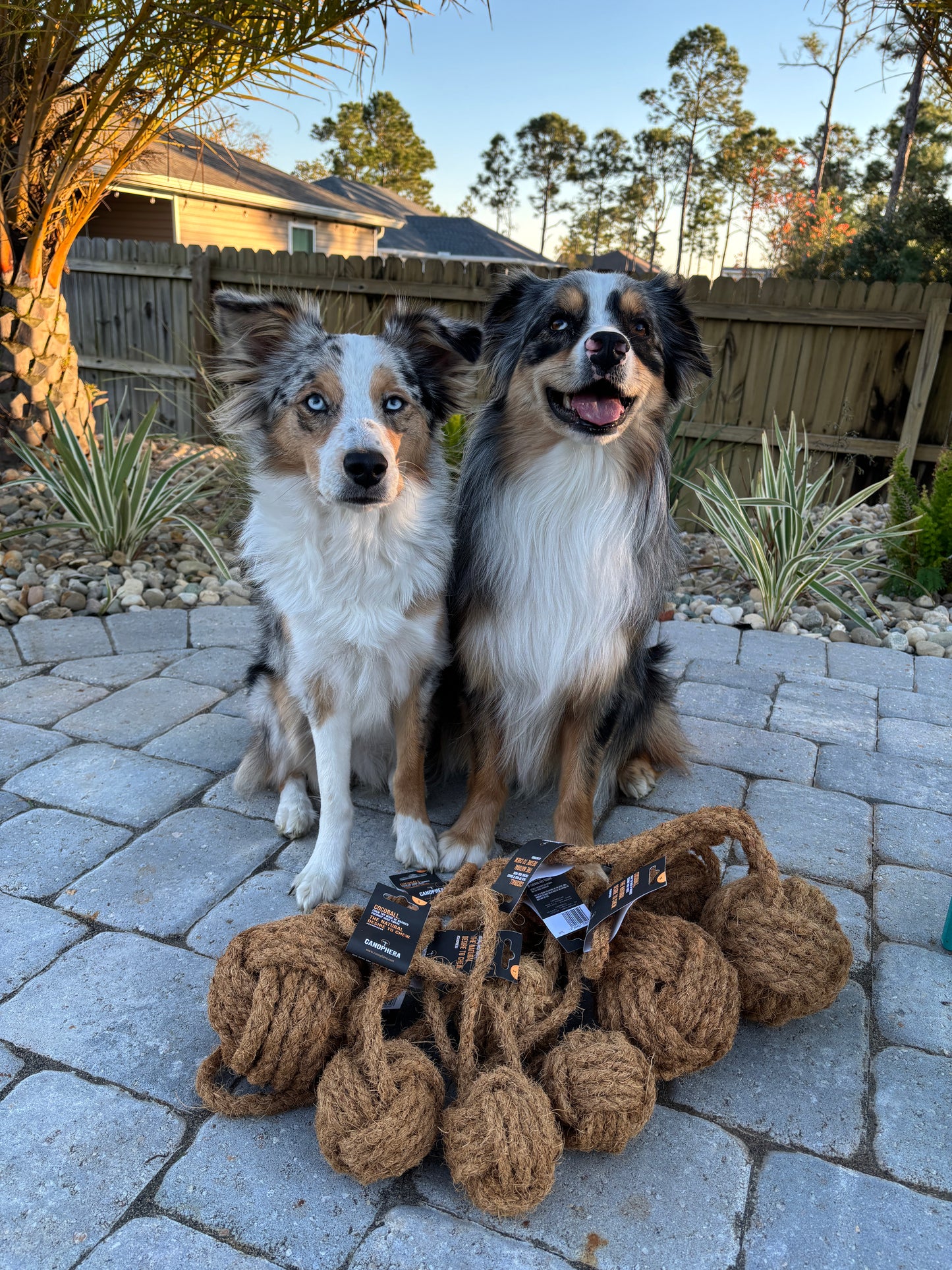 CocoBall Rope Chew