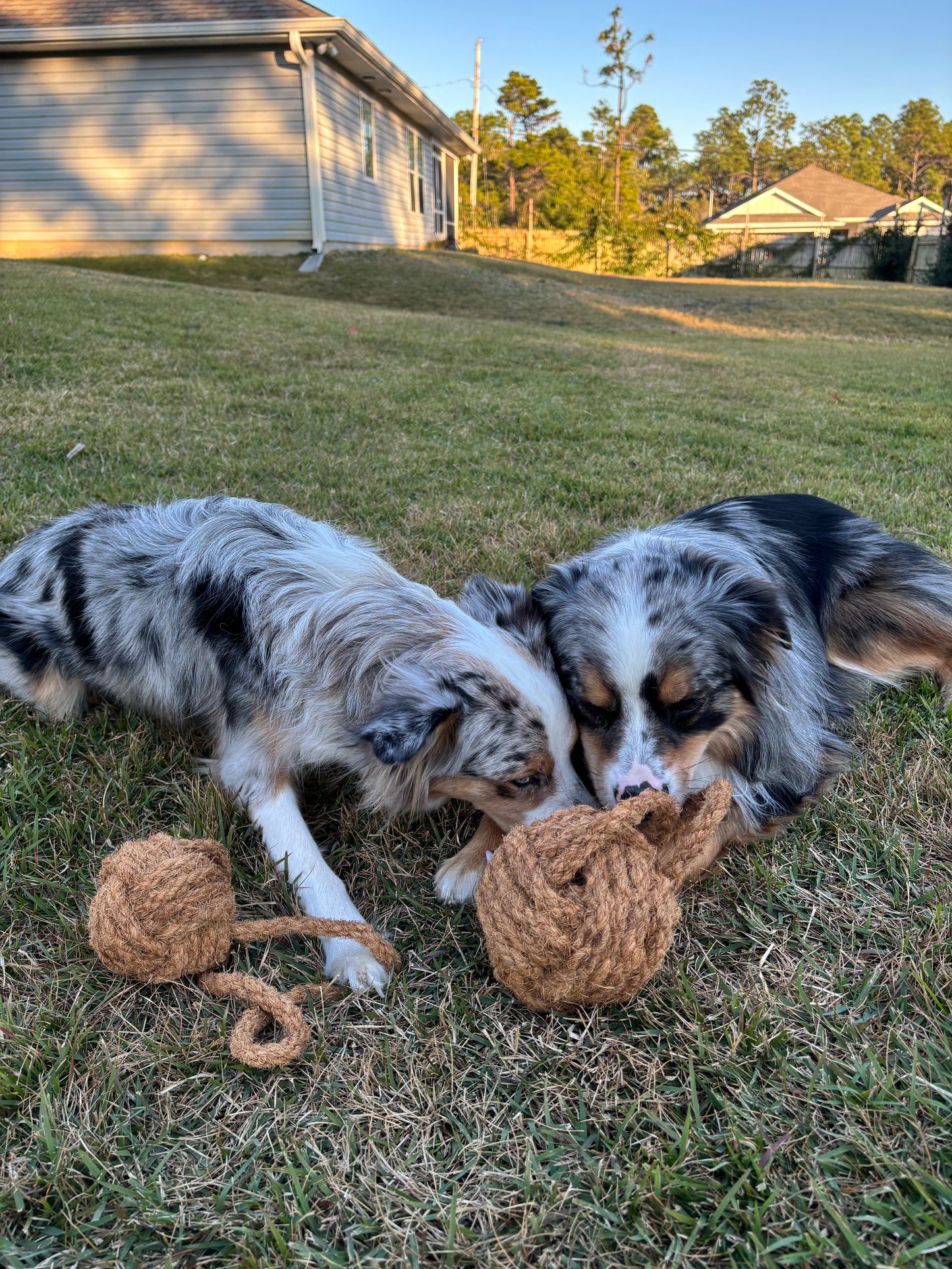 CocoBall Rope Chew