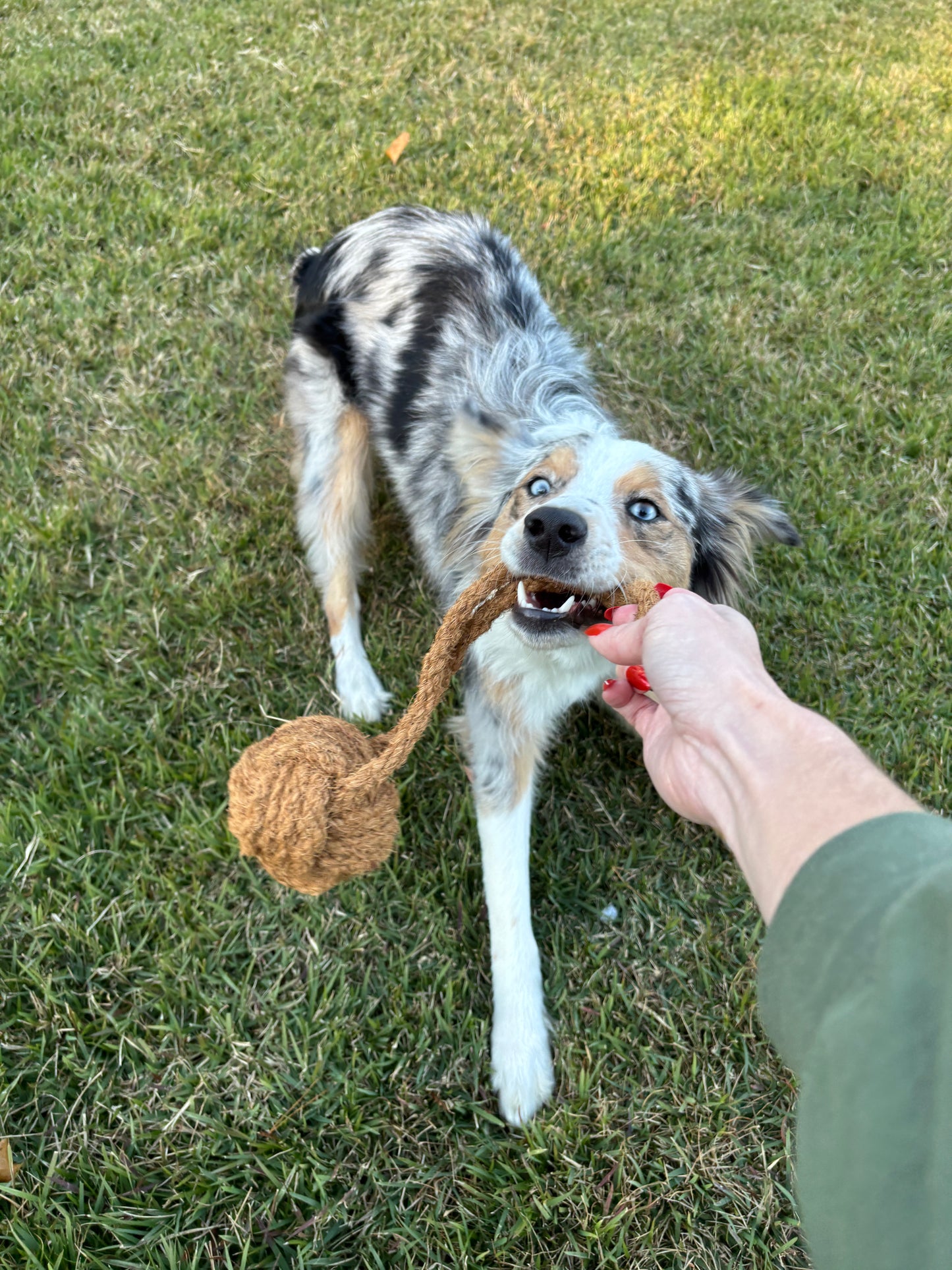 CocoBall Rope Chew