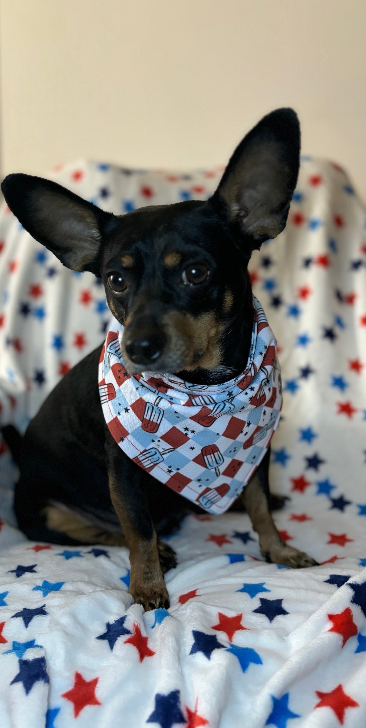 Pawty in the USA