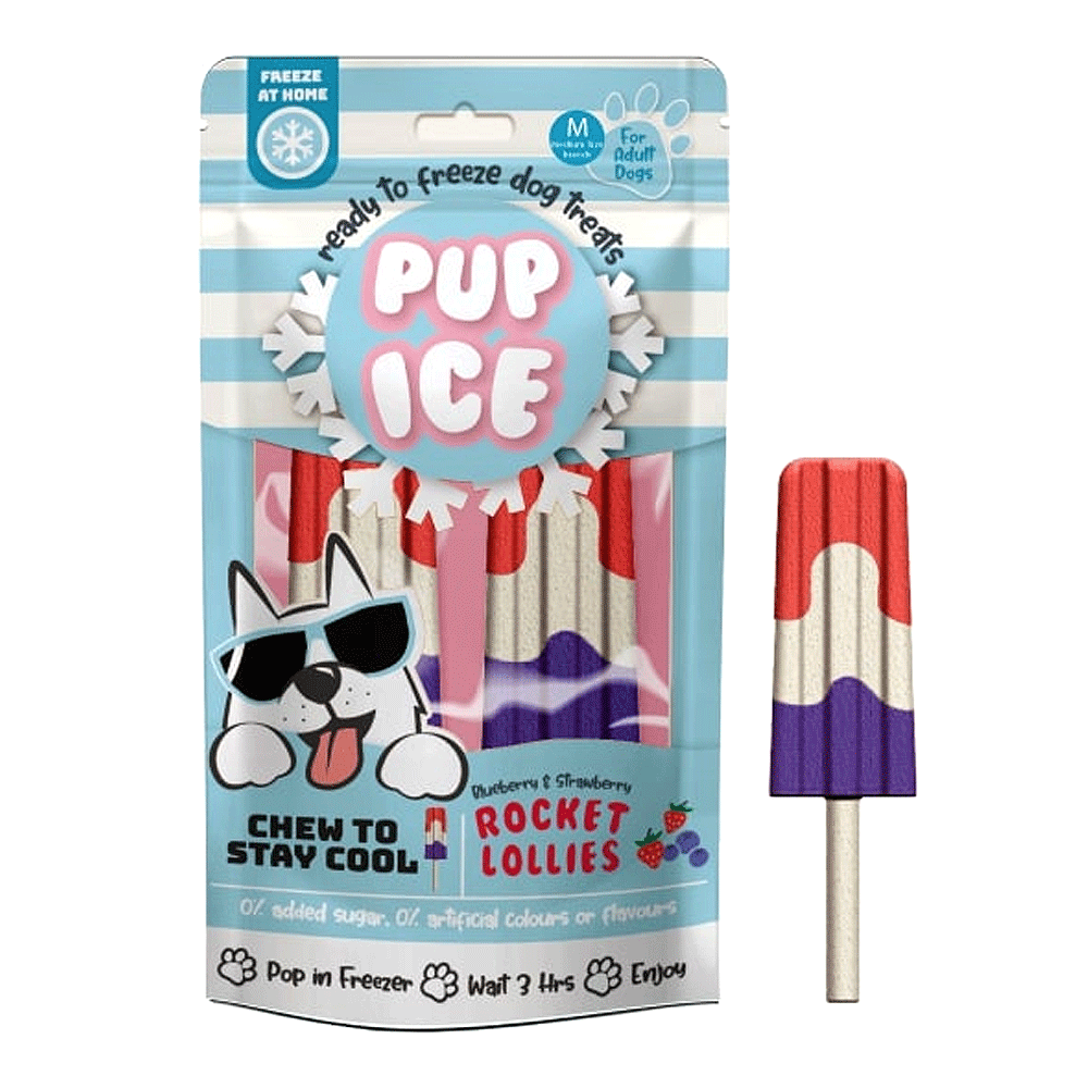 Pup Ice Rocket Lollies Blueberry and Strawberry