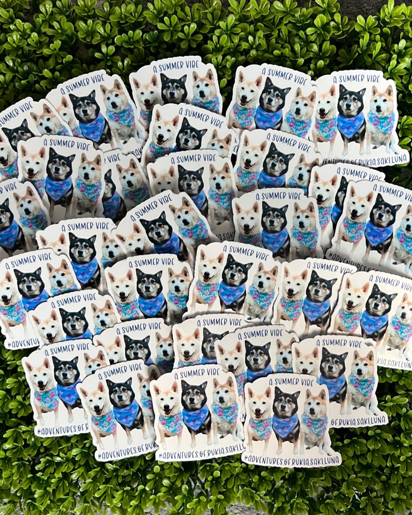 Custom Stickers