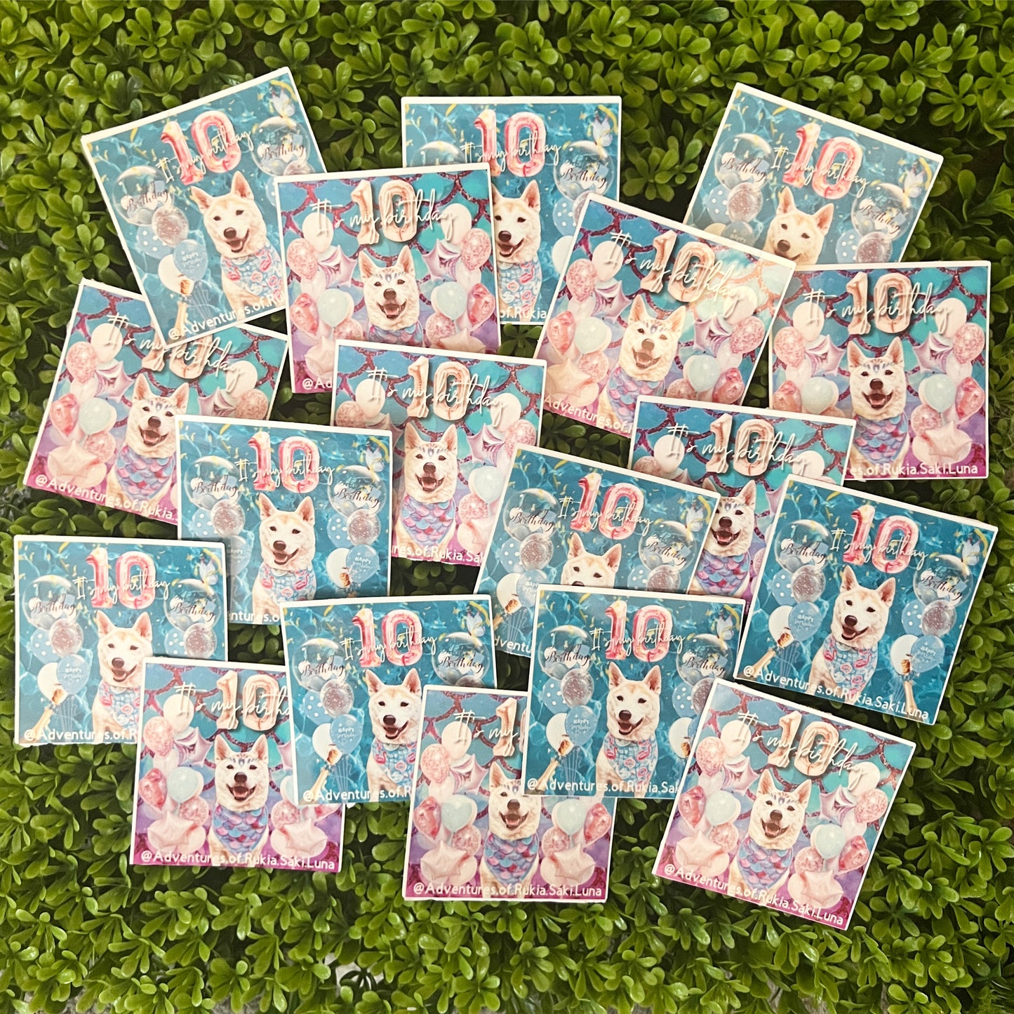 Custom Stickers