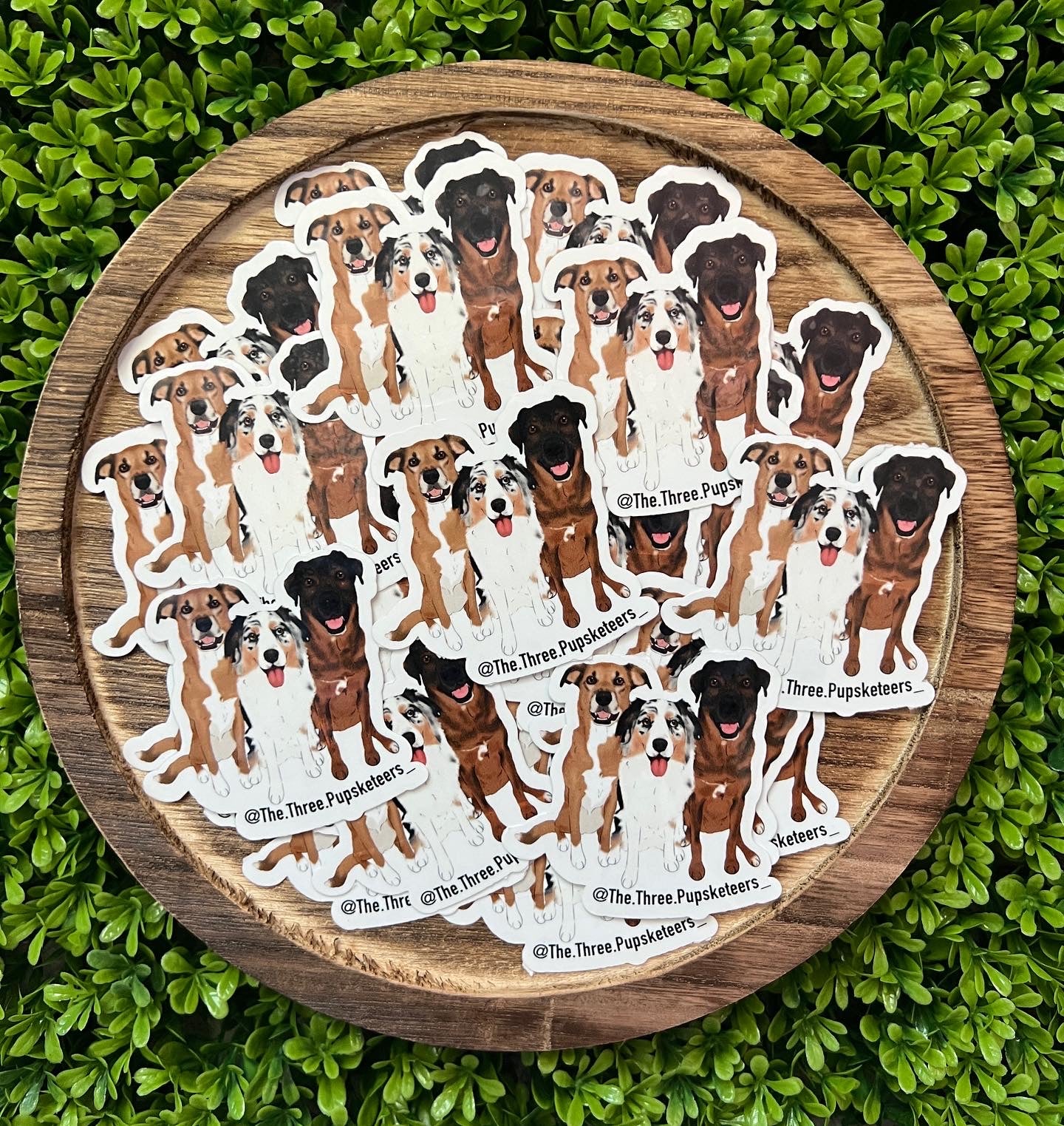 Custom Stickers