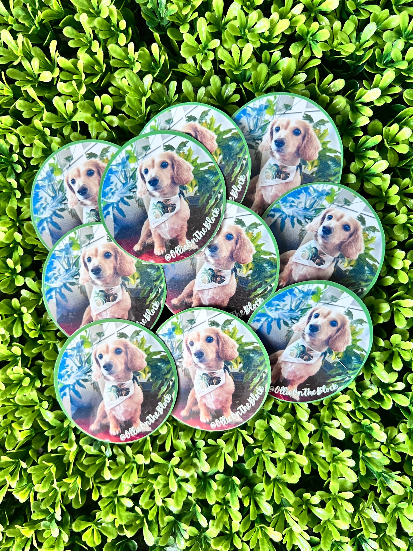 Custom Stickers