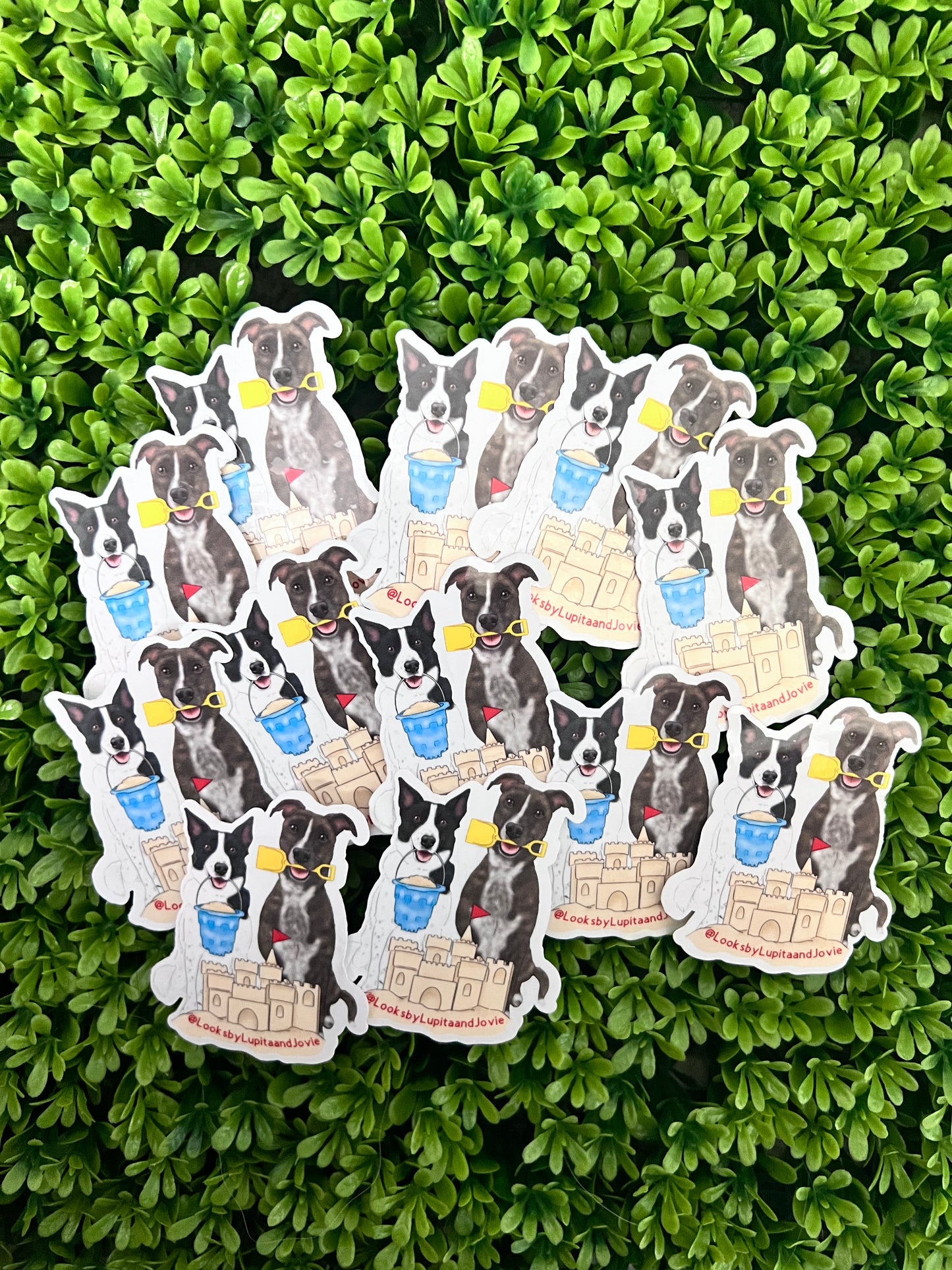 Custom Stickers