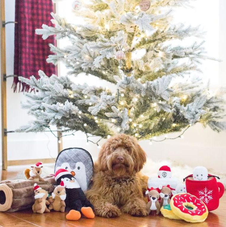 Holiday Zippy Burrow - Hot Cocoa - Christmas Dog Toy