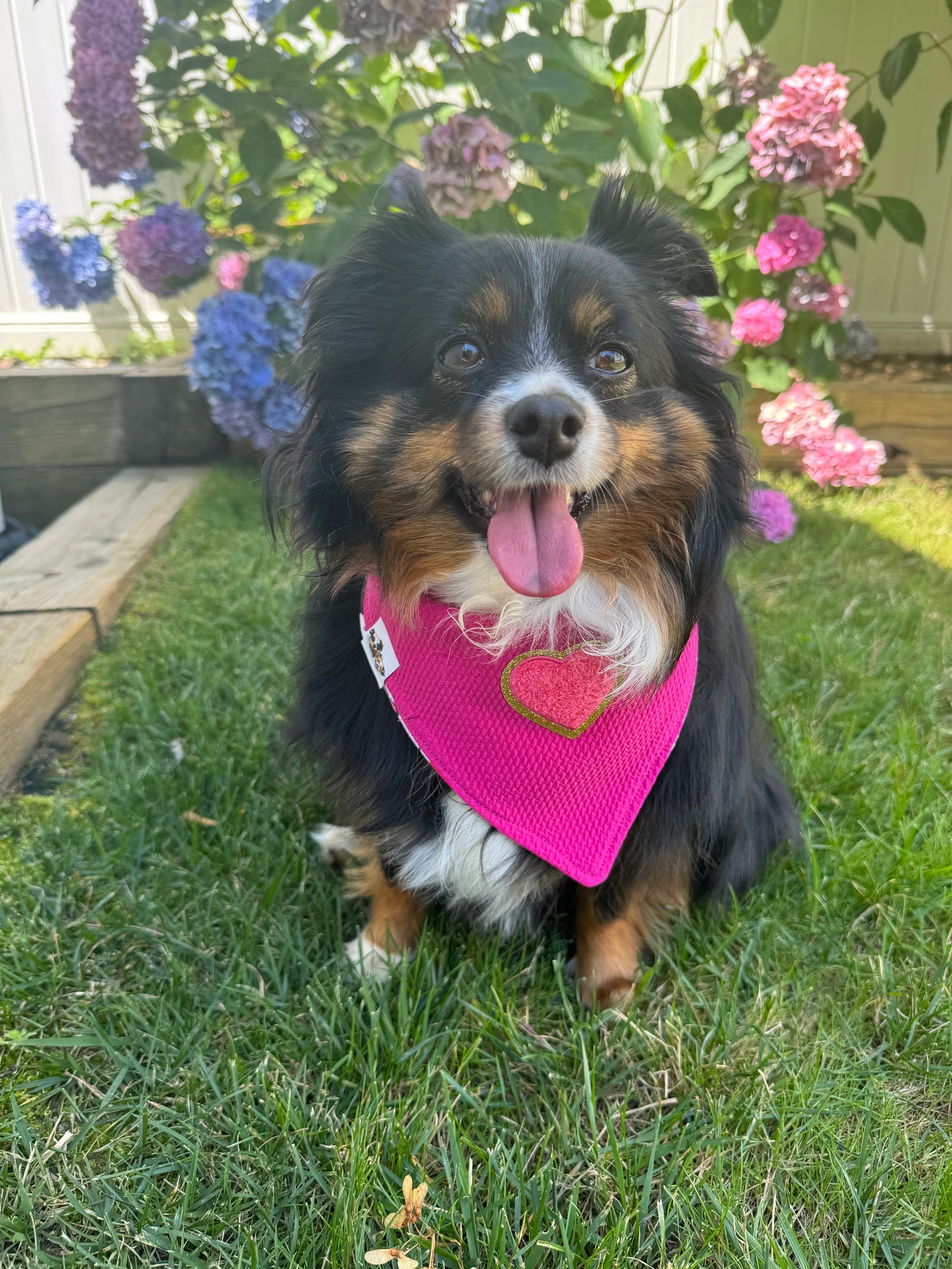 BYOB (Build Your Own Bandana!)