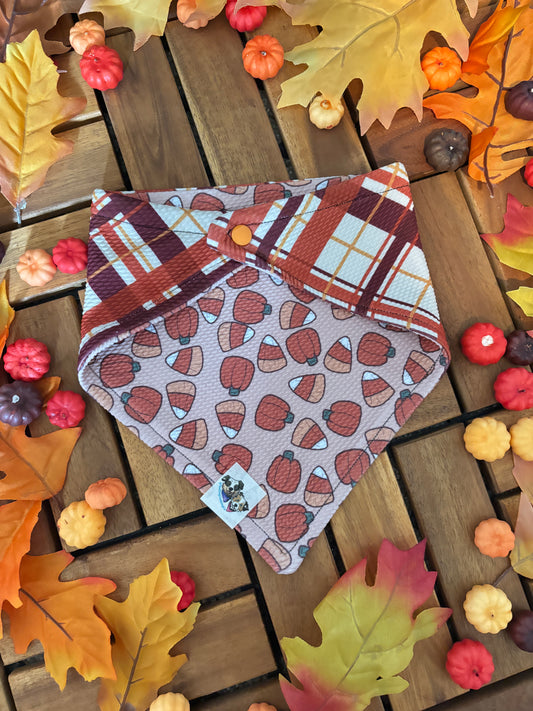Candy Corn Crazy Bandana