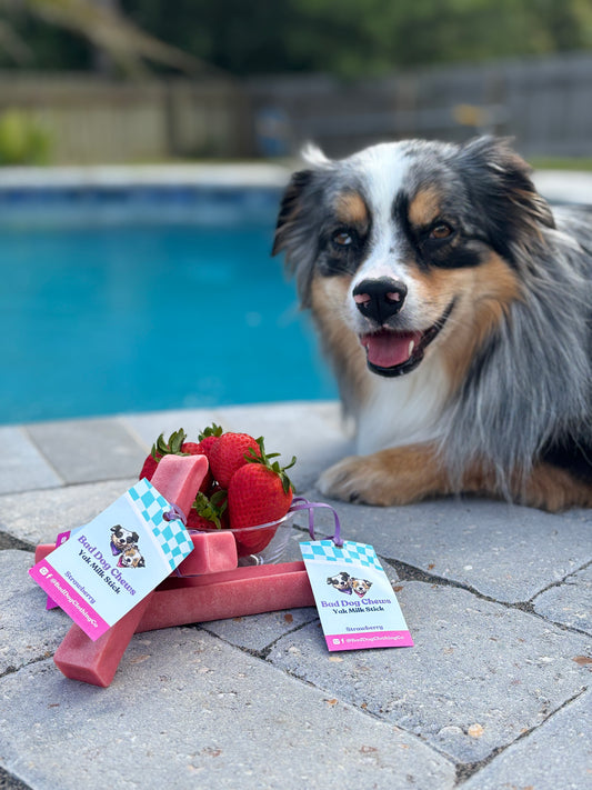 Strawberry Yak Milk Chews