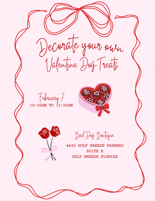 Decorate Your Own Valentines Treats