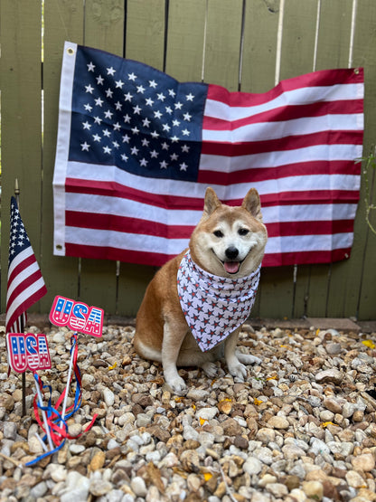 Pawty in the USA