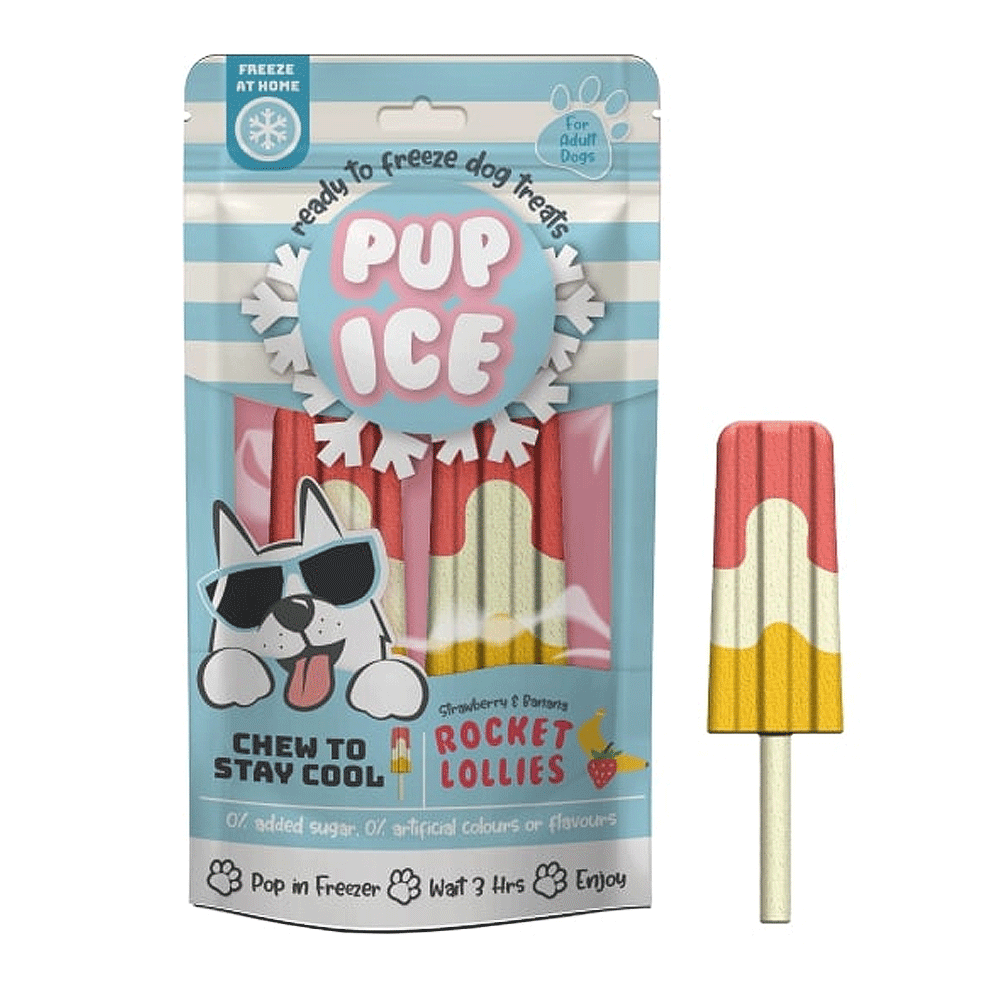 Pup Ice Rocket Lollies Strawberry and Banana