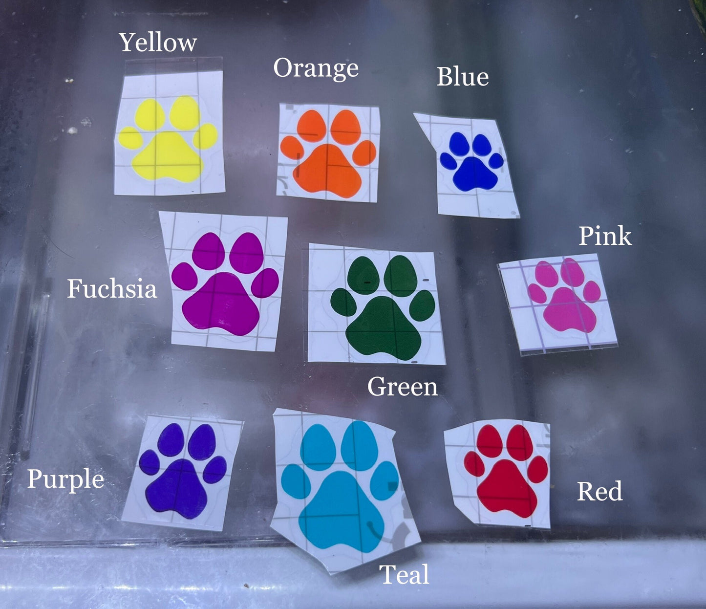 Color changing paw print can glasses